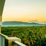 El Chinchorro Críollo