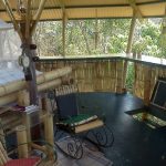 Tropical Tree House Rincon