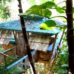 Tropical Tree House Rincon