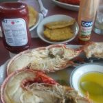 La Estrella del Norte