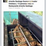 11873411_871766066245852_425003309553081344_n_0 Restaurant Arturito