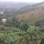 Bar Lechonera el Timbiriche