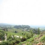 24855_369266982773_1530438_n_0 La Colina 360 °