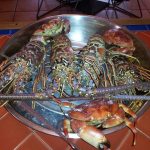 Delicias Mar y Tierra