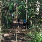 La Casa de los Pinchos