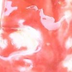 Piel Canela Café Piel Canela Café