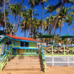 Beach Bohio Bar & Grill