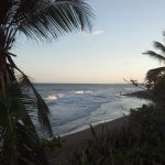 El_Trapiche_Seafood_rest.3_0 El Trapiche Seafood