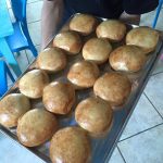 Pelican’s Boquerón