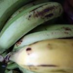 platano-1374154685-357x222 El Pirata