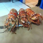 Cuesta Blanca Restaurant