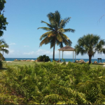 Eclipse Restaurant & Bar