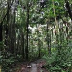 Bespoke Lifestyle Carolina, Puerto Rico