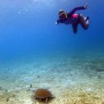 Culebra Island Adventures Culebra, Puerto Rico