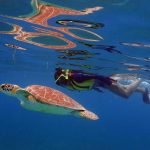 Culebra Island Adventures Culebra, Puerto Rico