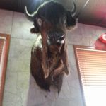 Buffalo Wings Sports & Grill