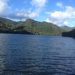 Rest. La Pared (lago Patillas)