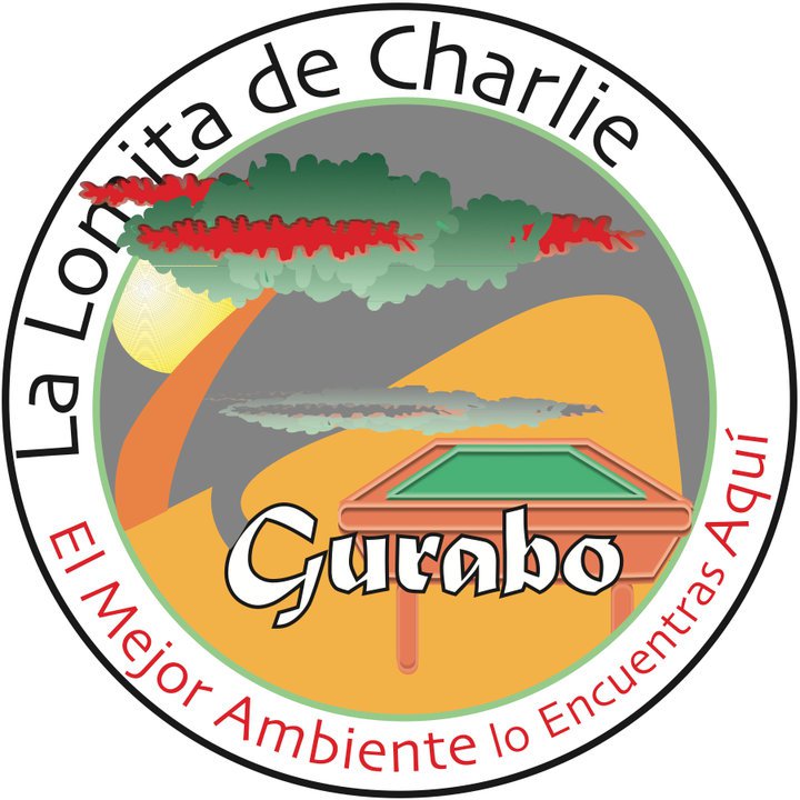 La Lomita de Charile,Gurabo PR