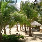The St. Regis Bahia Beach Resort Bar