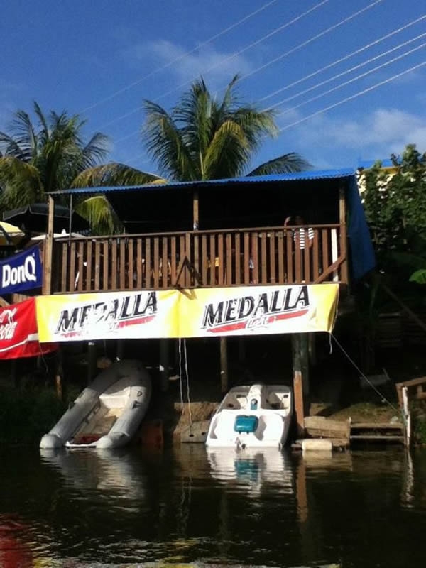 Iguana/ Rincón Tropical