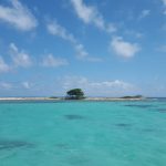 Aleli Tours Aguas Buenas, Puerto Rico