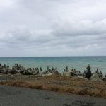 Puerto Mosquito Vieques, Puerto Rico