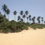 Balneario Los Tubos Manatí, Puerto Rico