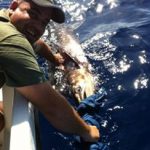 Bill Wraps Fishing Fajardo, Puerto Rico