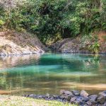 Bosque Carite Cayey, Puerto Rico