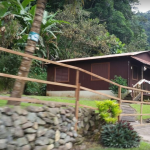 Bosque Estatal De Tres Picachos Jayuya, Puerto Rico