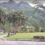 Bosque Estatal De Tres Picachos Jayuya, Puerto Rico