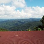Bosque Estatal Monte del Estado Maricao, Puerto Rico