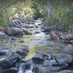 Bosque Estatal Monte del Estado Maricao, Puerto Rico