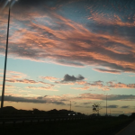 Bosque Estatal de Vega Alta, Puerto Rico