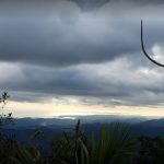 Bosque estatal de Toro Negro Jayuya, Puerto Rico