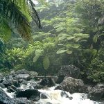 Bosque nacional El Yunque Río Grande, Puerto Rico