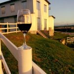 Cafe_Hacienda_La_Fe4_0 Café Hacienda La Fe San Sebastián, Puerto Rico