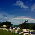 Cafe_Hacienda_La_Fe6_0 Café Hacienda La Fe San Sebastián, Puerto Rico