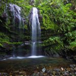 Caminata Quebrada las Delicias Ciales, Puerto Rico
