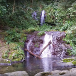 Caminata Quebrada las Delicias Ciales, Puerto Rico