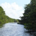 Reserva Natural Caño Tiburones Arecibo, Puerto Rico