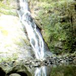 Cañón Las Bocas Barranquitas, Puerto Rico