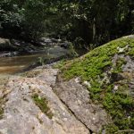 Cañón Las Bocas Barranquitas, Puerto Rico