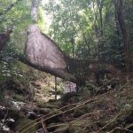 Cañón Las Bocas Barranquitas, Puerto Rico