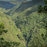 Cañón de San Cristóbal Barranquitas, Puerto Rico