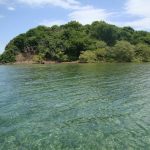 Cayo Santiago Humacao, Puerto Rico