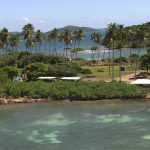 Cayo Santiago Humacao, Puerto Rico