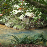Charco Azul Patillas, Puerto Rico