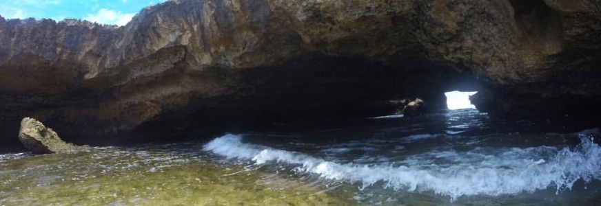 Cueva Golondrinas Manatí, Puerto Rico