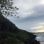 Cueva Golondrinas Manatí, Puerto Rico